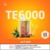 ELFBAR TE6000 Disposable Vape 6000 Puffs AUTUMN