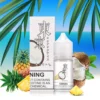 Tokyo Iced Pina Colada Saltnic 30ml