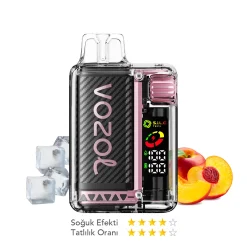 VOZOL VISTA 20000 PUFFS PEACH ICE